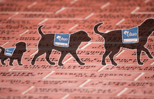 image of 3 black Labradors sizes small, medium and large wearing blue Duo capes walking across a brick path